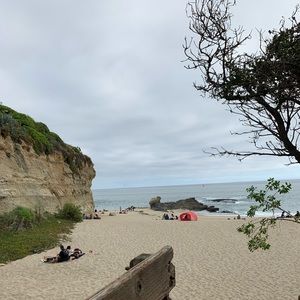 Meet your Posher, Lucy